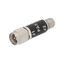 PE8003-P