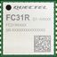 FC31RAAMD